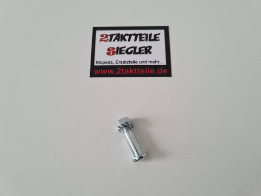 Schraube für Bremshebel Kupplungshebel Bolzen 5,5 x 22 mm Magura Armaturen
