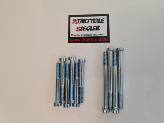 Screw kit engine halves housing Sachs 50s 50sw 80sa 80sw 50/5 AKF Hercules K50 Ultra KX5 RX9 50 80