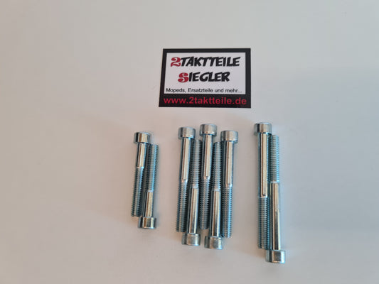 Copy of screw set side cover hexagon socket Sachs Motor 50s 501/3 501/4 BKF Hercules K50 Sportbike Supra 4 GP MK