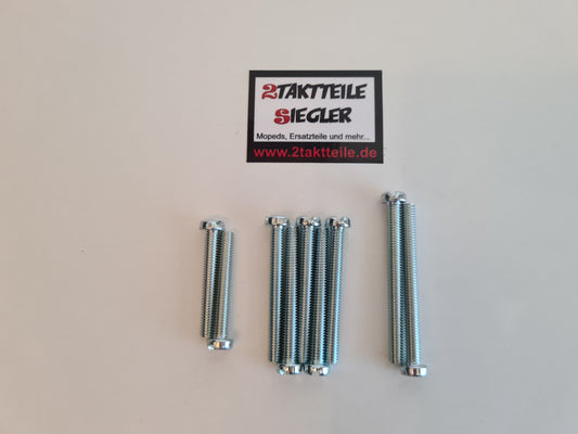 Screw set side cover slotted head Sachs Motor 50s 501/3 501/4 BKF Hercules K50 Sportbike Supra 4 GP MK