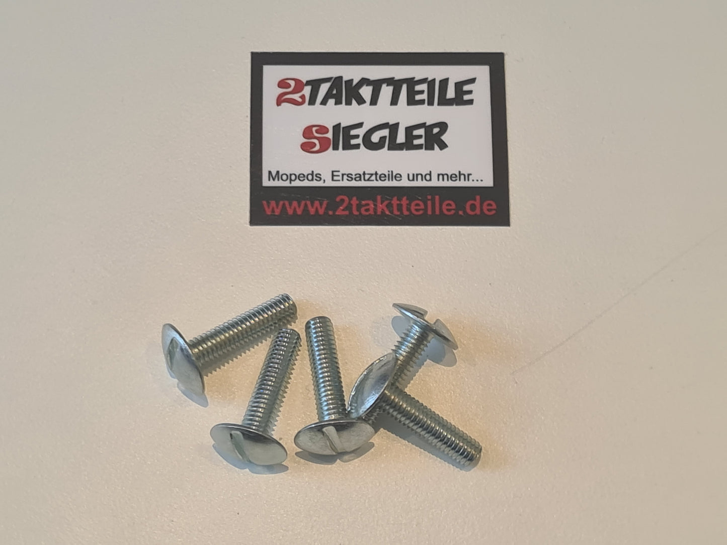 Schrauben M6 x 20 mm Linsenkopf Verkleidung Seitendeckelschrauben